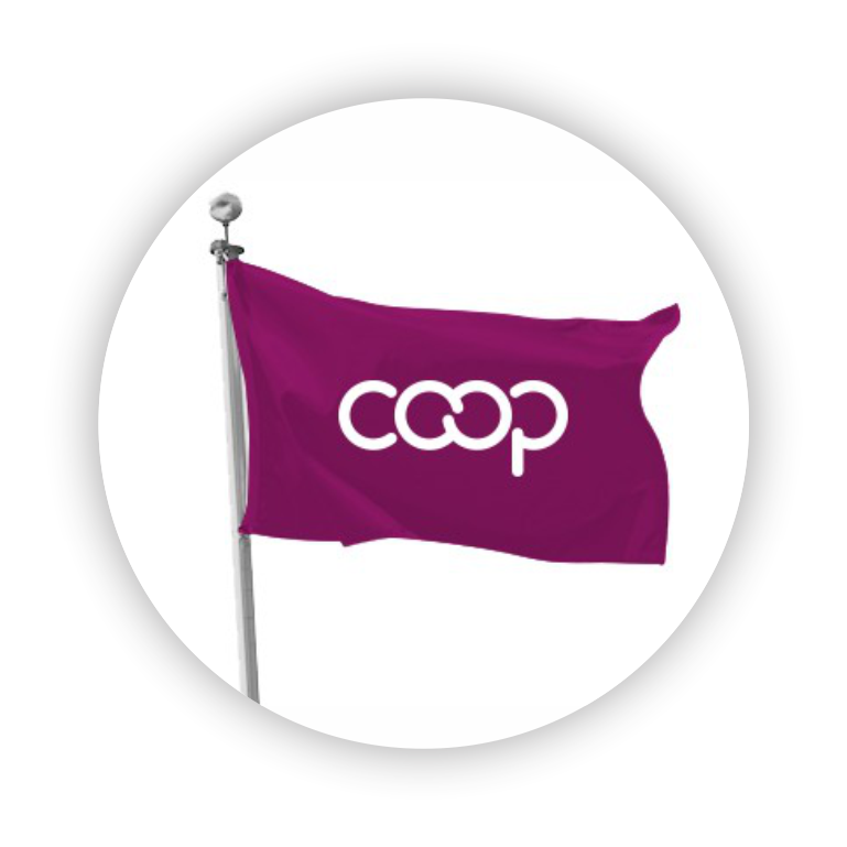 Bandera del Cooperativismo
